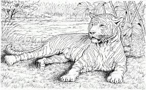 impressive animal coloring pages realistic zoo animal coloring pages animal coloring books animal coloring pages