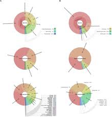 frontiers the impact of type vi secretion system