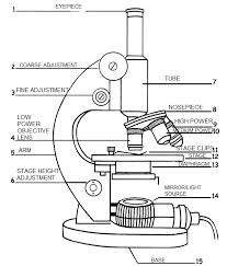 A Labeled Diagram Of A Microscope Mlt 101 Teaching Cells Medical Lab Technician Teaching Science