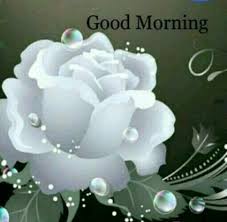 Birthday Gift Ideas For Mother In Law In India Trendy Birthday Wishes For Mother In Law In Hindi Ideas Birthday Birthday Wishes For Mother Good Morning Quotes Good Morning Greetings