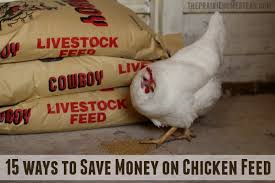 Check spelling or type a new query. How To Save Money On Chicken Feed
