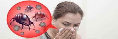 Yes, red spider mites do bite humans. How To Get Rid Of Mites On Humans Diy Mite Control Solutions Pest Lawn