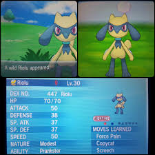Just catching a shiny riolu!★if you enjoyed this video, give it a thumbs up, if you would like to request a video leave a comment down below and subscribe fo. Manuskript Fodselsdag Taiko Mave Best Riolu Nature Bryggeri Finansiel Indirekte