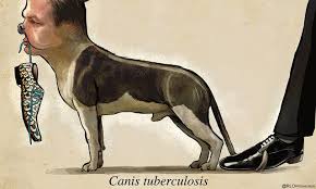 If you need to update/edit/remove this news or article then please contact our support team learn. 9hwuuxvtxleysm