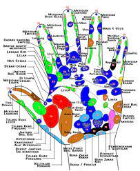 This page is about tapak tangan,contains eiltyzam: Asas Diagnosis Penyakit Melalui Saraf Tapak Tangan
