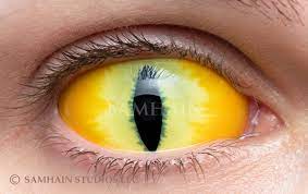 Catra (Yellow) [Single Lens] - Samhain Contact Lenses
