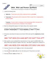 Gizmo rna and protein synthesis answer key pdf tickets availibility for dana winner concert it was not a true elizabethan manor, lacking the classic e shape. 29 Rna And Protein Synthesis Gizmo Worksheet Answers Free Worksheet Spreadsheet