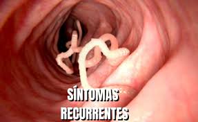 Uno a uno, los síntomas que podrían indicar que tenes la lombriz solitaria  - Mendoza Post