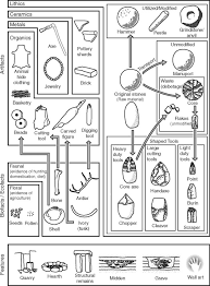 Hominid An Overview Sciencedirect Topics