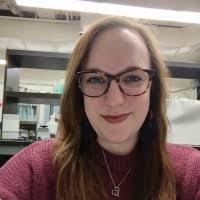 500+ "Bierer" profiles