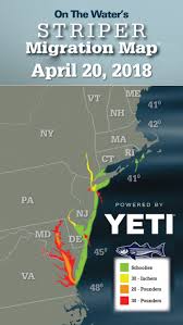 striper migration map april 20 2018 on the water