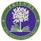 Friends of the Ashland Public Library 2-Day Book Sale