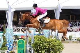 In addition to her show jumping work, diniz is also known for g.r.o.w., an informal education philosophy that teaches adults and children. Luciana Diniz Fit For Fun Won T Be Jumping Any Championships Anymore Equnews International