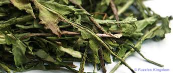 Maybe you would like to learn more about one of these? Red Raspberry For Chinchillas Rabbits Guinea Pigs