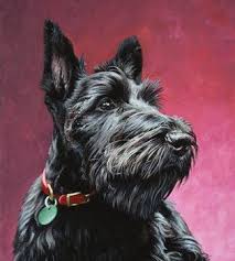 Folge deiner leidenschaft bei ebay! National Purebred Dog Day Page 119 Of 277 Celebrating The Diversity Heritage And Predictability Of The Purebred Dog