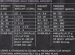 Purina Pro Plan Feeding Chart Best Picture Of Chart