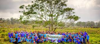 Royal Hawaiian Sandalwood » Common Scents Mom