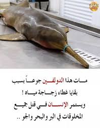 صور مكتوب عليها حقائق مدهشة Beautiful Arabic Words English Language Learning Grammar Funny Comments