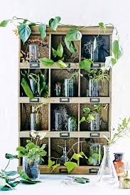 inspiratieboost de plantenkast is een perfecte toevoeging aan je tuin of balkon roomed planten binnenplanten bloemplanten