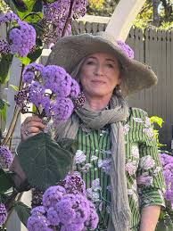 Image result for Bartlettina