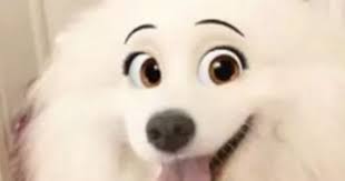 You Can Now Make Your Dog Look Like A Disney Character With New Cartoon Snapchat Filter Mirror Online