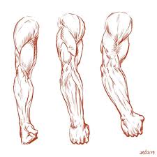 Maybe you would like to learn more about one of these? Andres On Instagram Arm Muscles Studies Have A Great Week Art Lovers Thanks A Lot F Anatomy For Artists Human Anatomy Drawing Anatomy Drawing