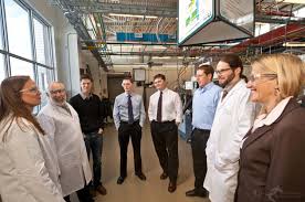 Institute's Largest-Ever Organic Photovoltaic Device