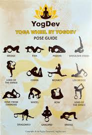 Amazon Com Yoga Wheel By Yogdev Premium 12 Roller Designed For Dharma Yoga Wheel Pose For Stretching And Increased Wheel Pose Yoga Yoga Wheel Dharma Yoga