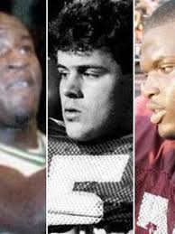 Vanderbilt football's Brad Gaines headlines Metro Sports Hall of Fame