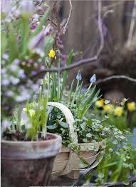 Pin Von Myhammer Auf Sommer Im Garten Deko Ideen Fruhlingsgarten Pflanzen Gartengedichte
