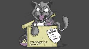 Schrodinger S Cat Wallpapers Top Free Schrodinger S Cat Backgrounds Wallpaperaccess