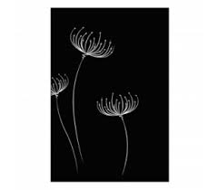 Plaque De Protection Murale Pour Poele Comptoir Du Poele