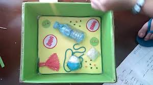 Have students read and discuss the plant cell and animal cell infographics. Plant Cell Model Recycled Materials Youtube