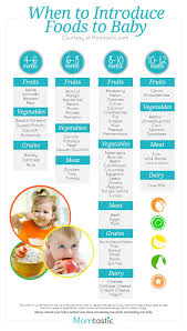 Introducing Solids A Month By Month Schedule Free