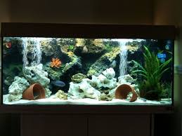 Pin By Patti Pedersen On Home Decor Fresh Water Fish Tank Aquarium Fish Tank Cool Fish Tanks