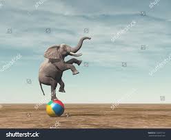 Surreal Image Of An Elefant Balancing On A Beach Ball 3d Render Illustrationelefant Balancing Surreal Illustration Graphic Design Projects Stock Illustration