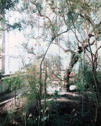 Der botanische garten auf der gugl zählt zu den schönsten anlagen europas. Botanischer Garten By Arnd Weider 2018 Photography Analogue Hybrid On Paper Singulart