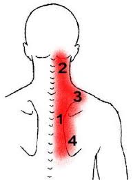 Pin On Health