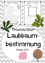 Pin On Biologie Sekundarstufe Unterrichtsmaterialien
