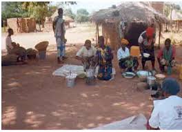 Image result for Solanum grossidentatum