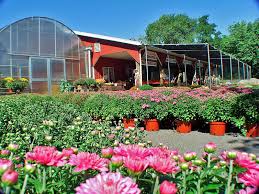 Order food online at farm country kitchen, riverhead with tripadvisor: Long Island Farms Enjoy Pumpkin Picking Apple Picking More At Li S Farms