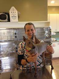 Oceana Pet Hospital - Best4pets