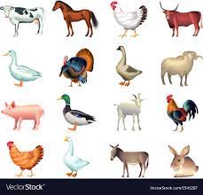 Popular Farm Animals Photo Realistic Set Download A Free Preview Or High Quality Adobe Illustrator Ai Eps Pdf And Farm Art Animal Clipart Stock Images Free