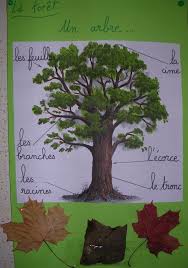 Epingle Sur Les