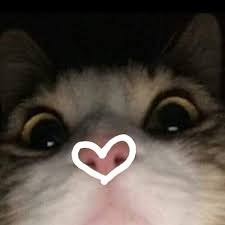 Love U Meme Generator Imgflip