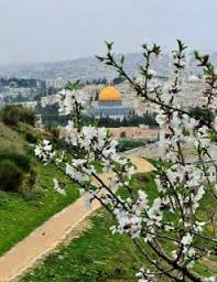 صور القدس 2021 اجمل صور مكتوب عليها القدس عربية Nature Photography Islamic Pictures Palestine