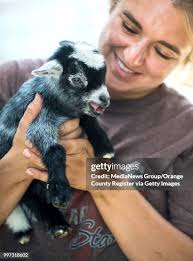 114 Sarah Capra Photos & High Res Pictures