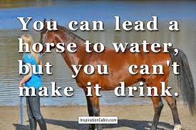 You Can Lead A Horse To Water Inspiration Cabin
