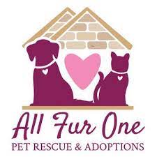 Where to adopt a dog in toms river nj? Puppy Love Pet Rescue Home Facebook