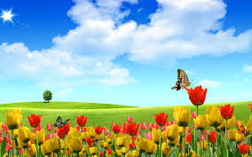 Nature Hd Wallpapers Nature Flowers 3d Beautiful Landscape Flowers 1920x1200 Wallpaper Teahub Io Follow us for regular updates on awesome new wallpapers!